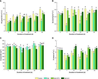 Humic acids enhance salt stress tolerance associated with pyrroline 5-carboxylate synthetase gene expression and hormonal alteration in perennial ryegrass (Lolium perenne L.)